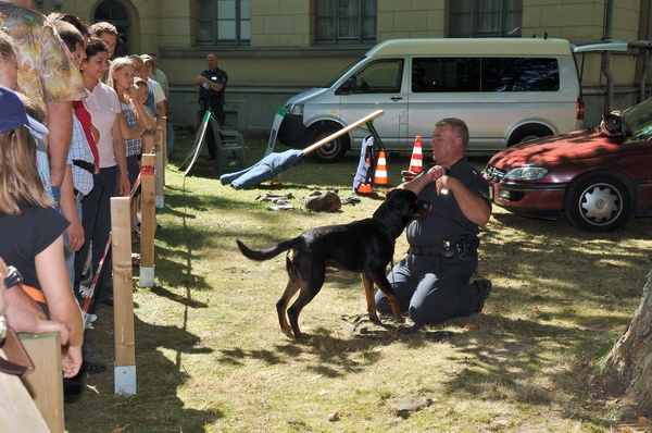 Polizeidirektion   123.jpg